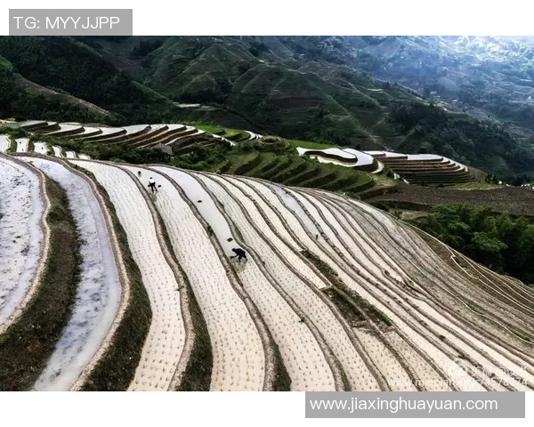鲁本迪亚斯:从新星崛起到足坛巨星的辉煌历程与未来展望